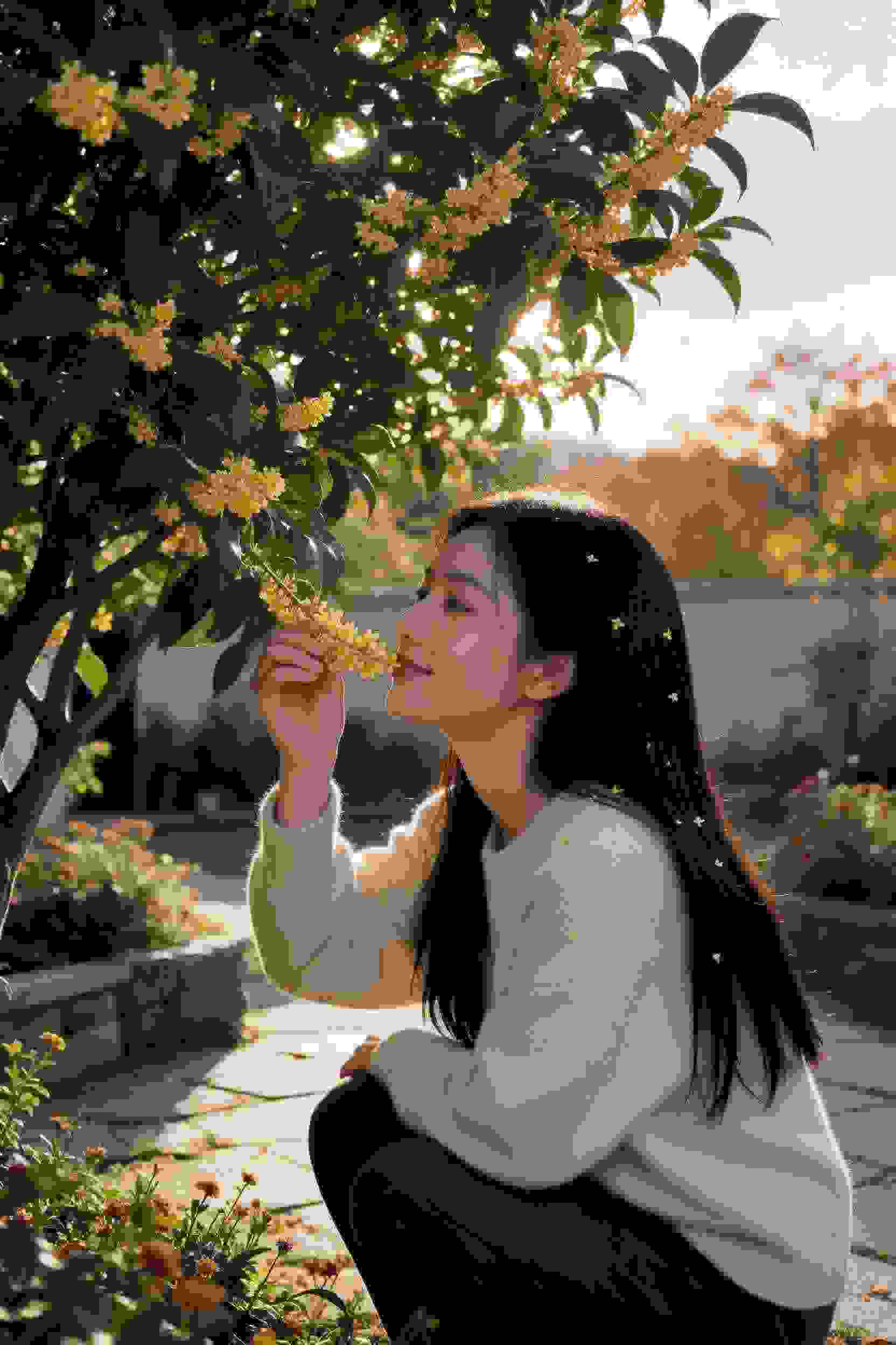 政宗君的复仇